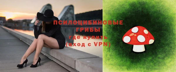 прущие грибы Бородино