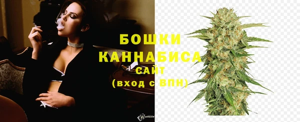 прущие грибы Бородино