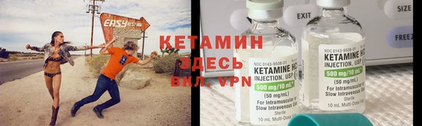 прущие грибы Бородино