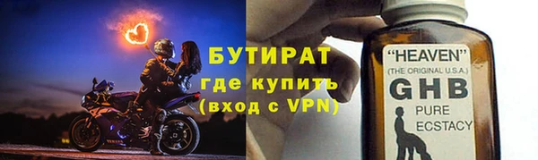 прущие грибы Бородино
