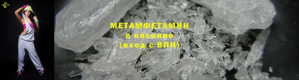 прущие грибы Бородино