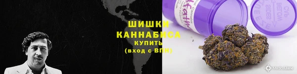 молекула духа Бугульма