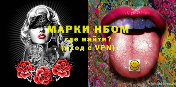 прущие грибы Бородино