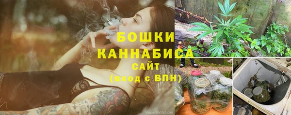 прущие грибы Бородино