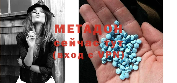 прущие грибы Бородино