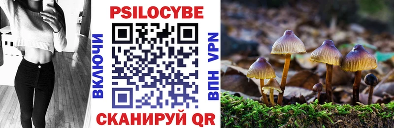 Псилоцибиновые грибы GOLDEN TEACHER  Шали 